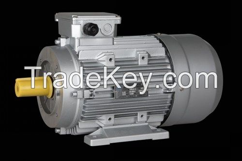 High pressure washer motor