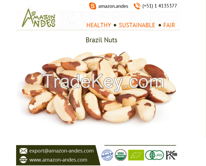 Brazil Nuts (PREMIUM QUALITY)