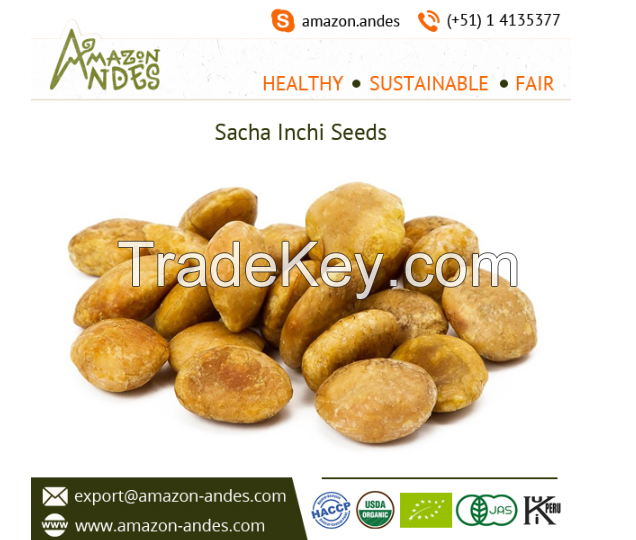 Roasted Sacha Inchi nuts (PREMIUM QUALITY)