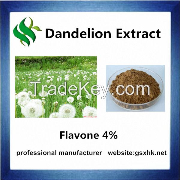 High Quality Dandelion Extract