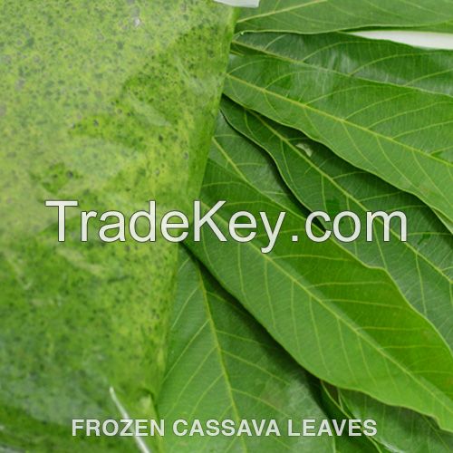 Frozen Cassava Leaves