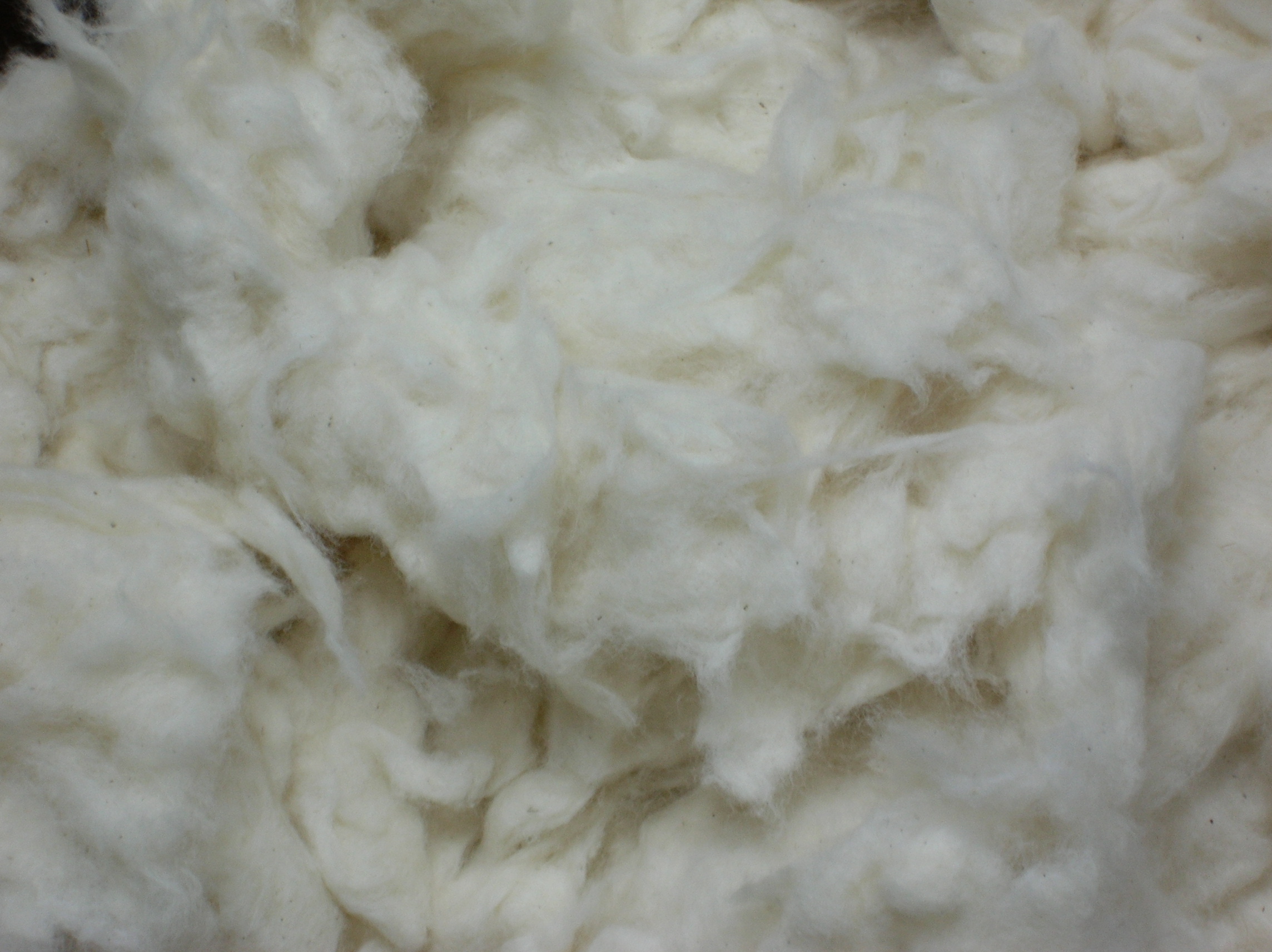 100% PAKISTAN COTTON YARN