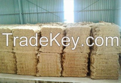 Long Palm Fibre , Coconut Fibre, EFB, EFB Fibre