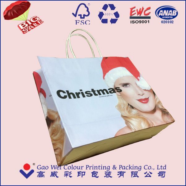 Eco-Friendly Custom Logo Printed Christmas Gift Paper Bags