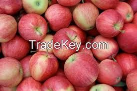 Fresh fuji apples 