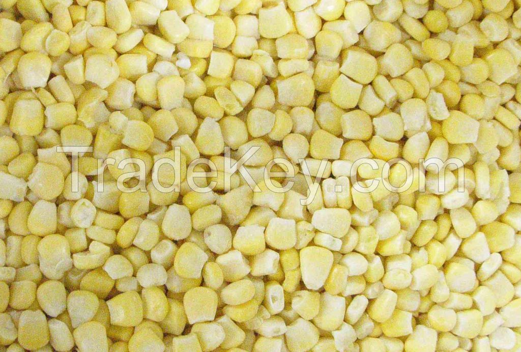 IQF sweet corn kernels