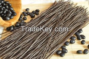 organic black bean spaghetti