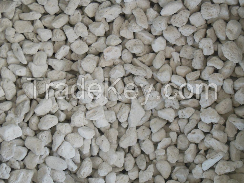 Pumice Stone