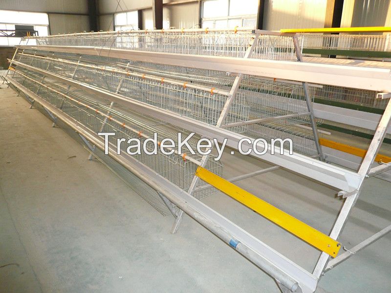 Automatic Egg Chicken Coops/Chicken Cages for Layer Hens 