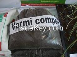 Vermicompost