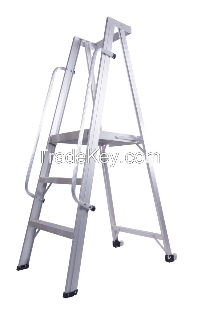 Ladder and Scaffodlings