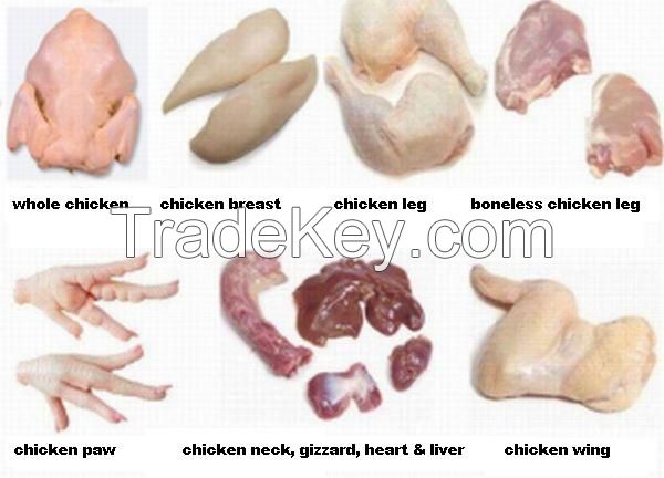 HALAL Frozen Chicken, Chicken Feet , Chicken Paws