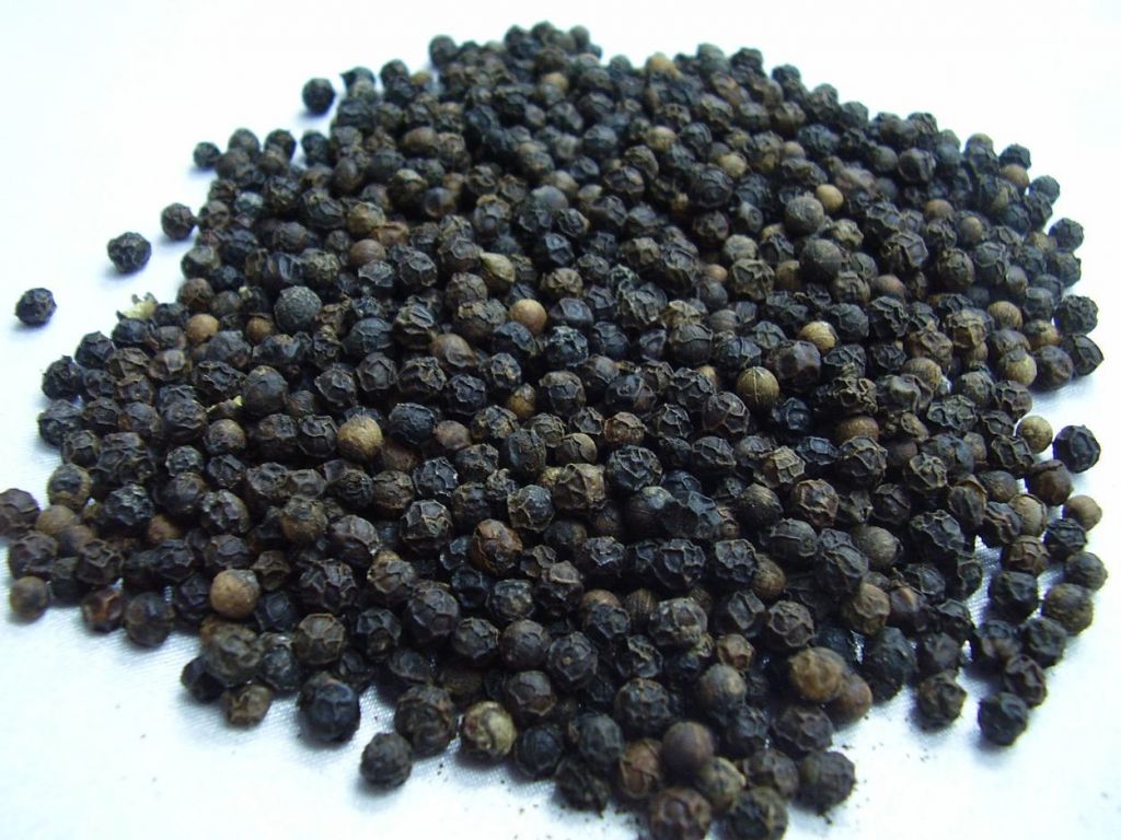 Black Pepper 550gl/ 500gl (Piper nigrum)