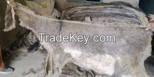 Donkey Hides Donkey Skin,Donkey Leather