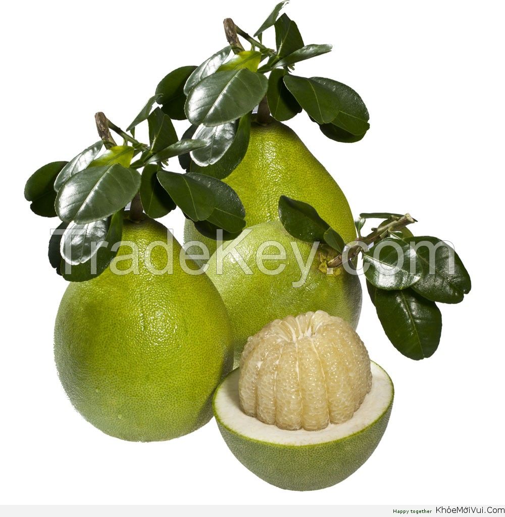 Yellow skin pomelo