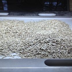 Roasted/Raw Sunflower Seeds