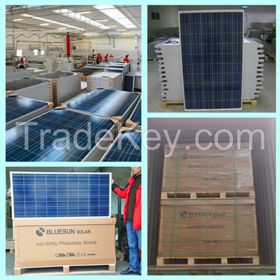 Bluesun cheap solar panel poly 100w solar panel manufacturers in china