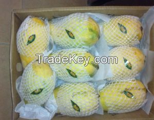 Fresh Sindhri Mangoes