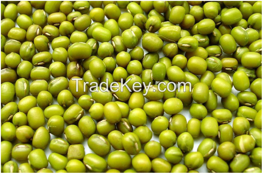 Green Mung Beans