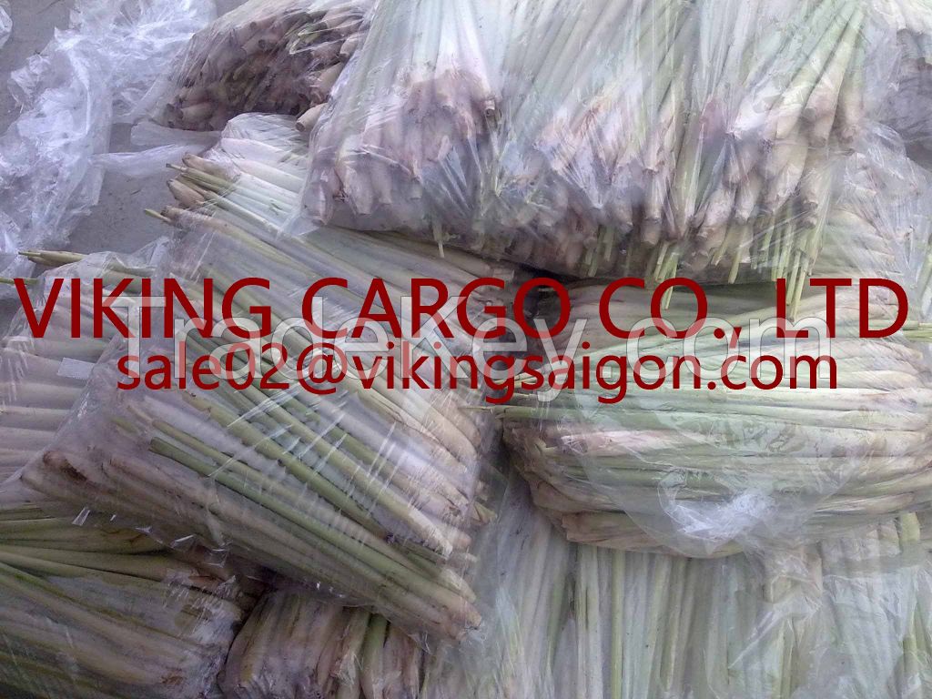  FROZEN LEMONGRASS BEST PRICE - HIGH QUALITY FROM VIETNMA  