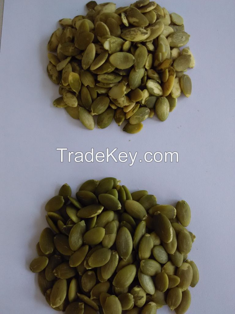 PUMPKIN SEED KERNELS