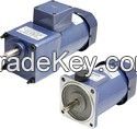 60 Watt: Induction Motor