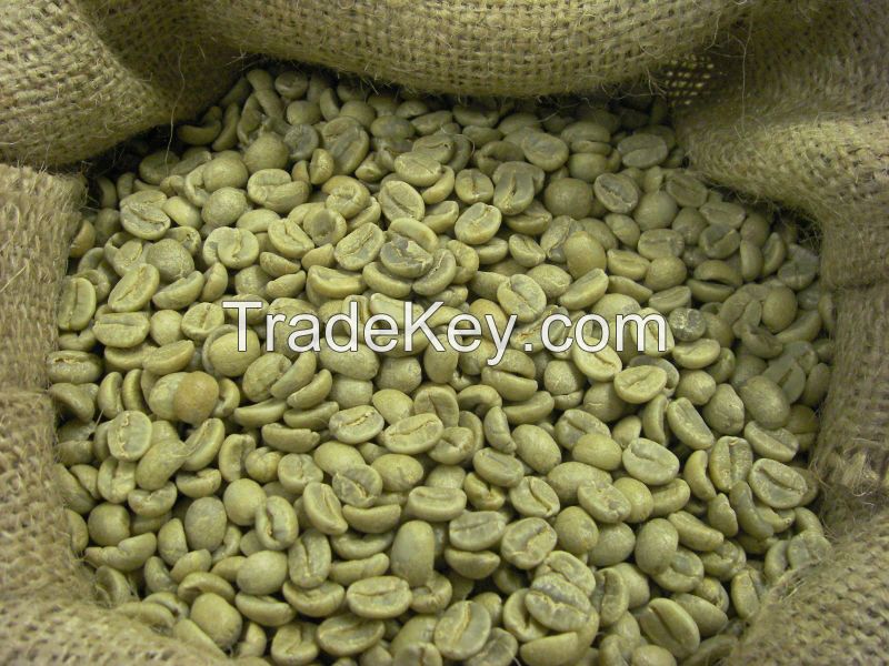 Arabica Coffee Bean