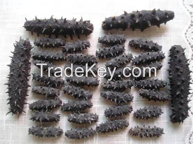 dry sea cucumber,price of dried cucumber manufacturer