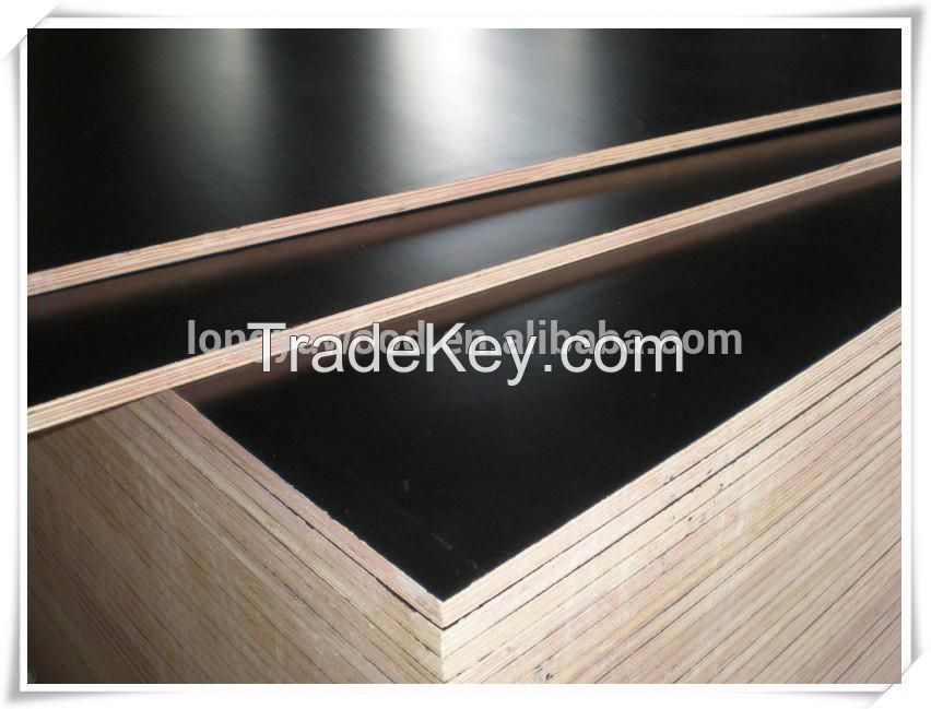 film faced plywood  /  marine plywood  for constrcution and building usage