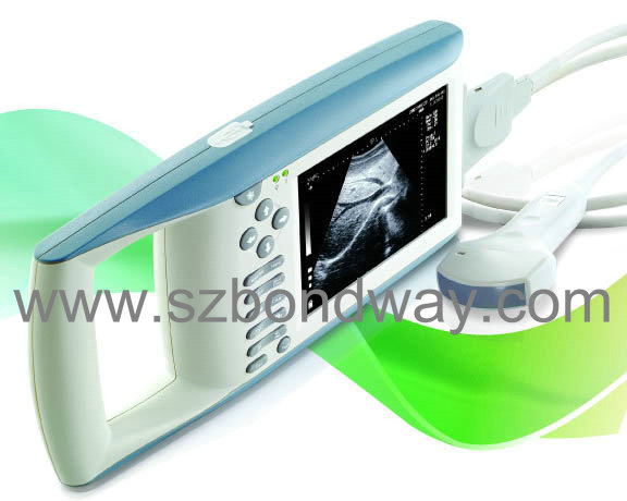 Digital Palmtop Ultrasound Scanner (BW520)