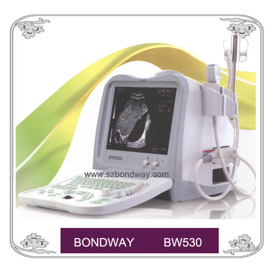 Digital Ultrasound Scanner ( BW530)