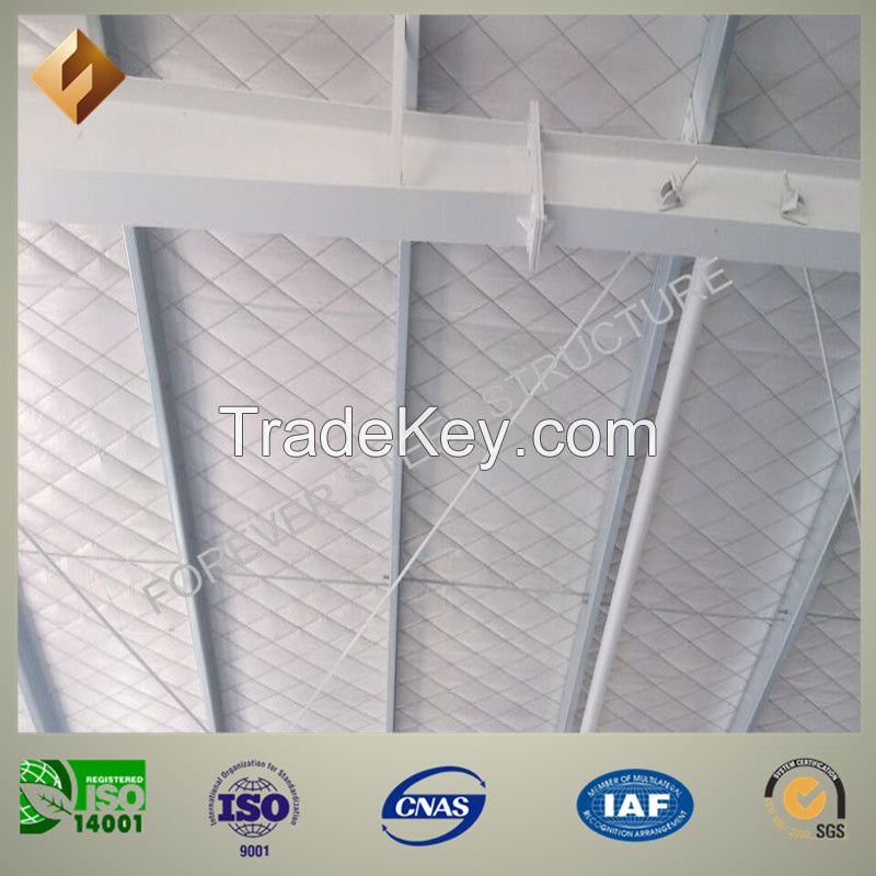 Manufactural Building Steel Structure Warehouse