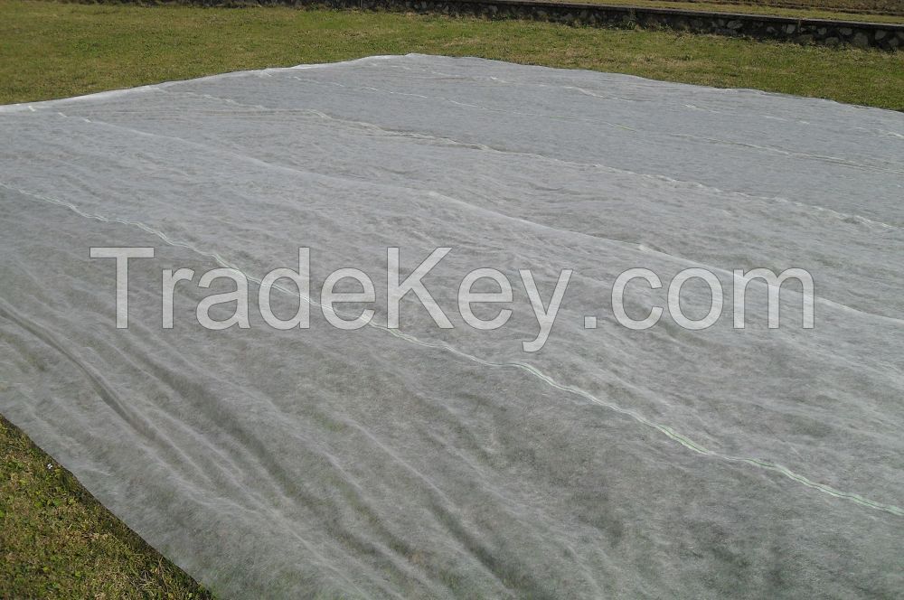 PP Nonwoven Fabric for Agriculture Covering