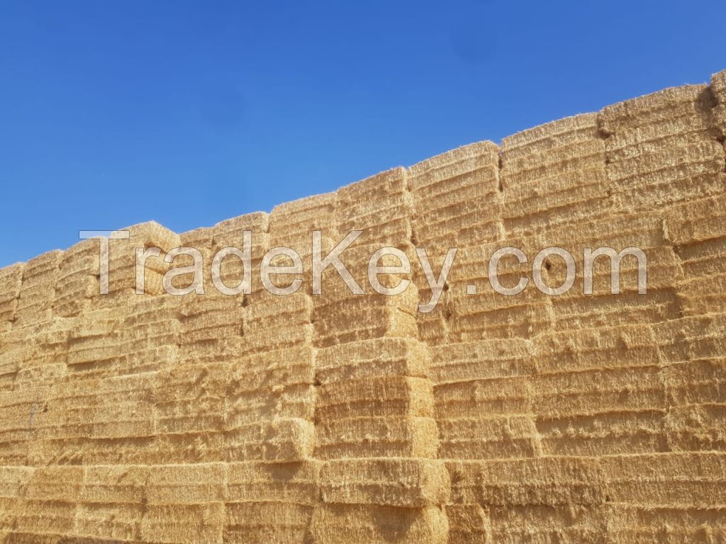 Wheat straw in compressed bales