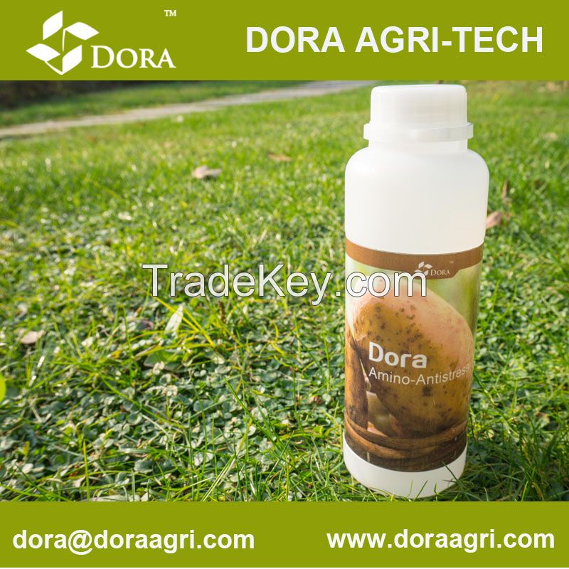 DORA Enhancer Bio