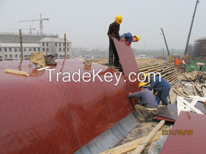 Flexional face-Filmed Bamboo plywood