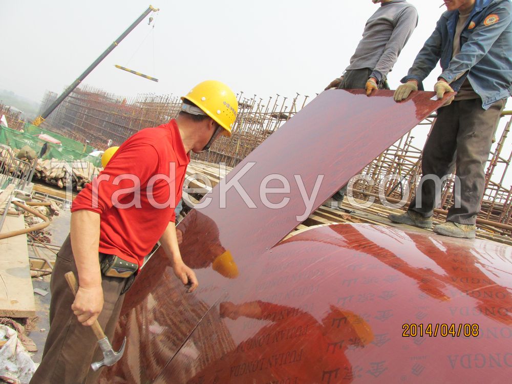 faced-filmed Bamboo concrete form template