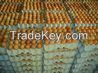Fresh Table Chicken Eggs ( Brown and White)