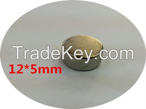 Customized Sintered NdFeB Rare Earth Neodymium Permanent Strong Cheap Magnets for Loudspeaker