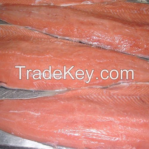 Frozen Chum Salmon Fillets