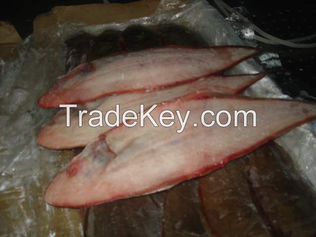 Frozen Tongue Sole Fish Whole Round