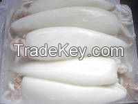 Frozen Big Cuttlefish Whole Round Clean IQF