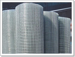 galvanized welded wire mesh