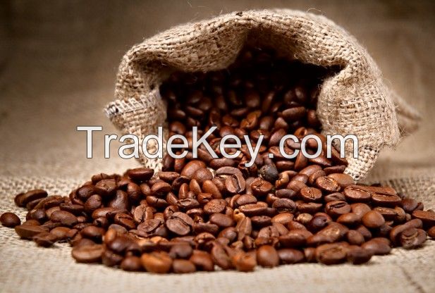 Arabic Coffee Beans 