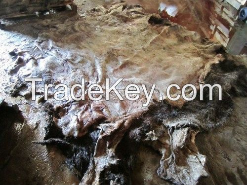 Dry and Wet Salted Donkey Skin