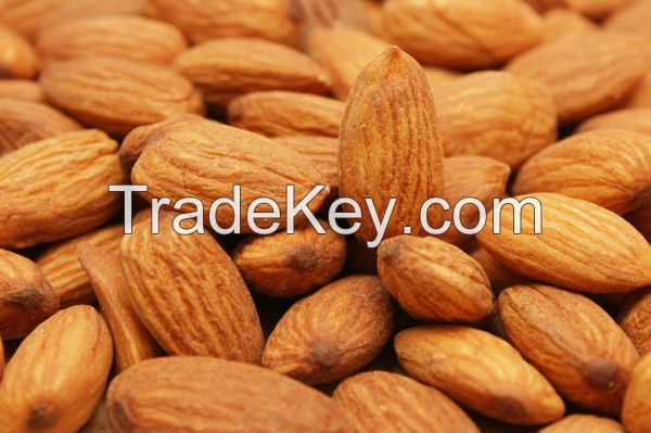 Almond Nuts