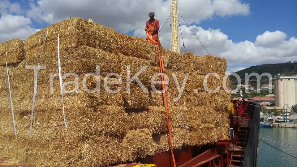 QULITY WHEAT STRAW /BALE /HAY