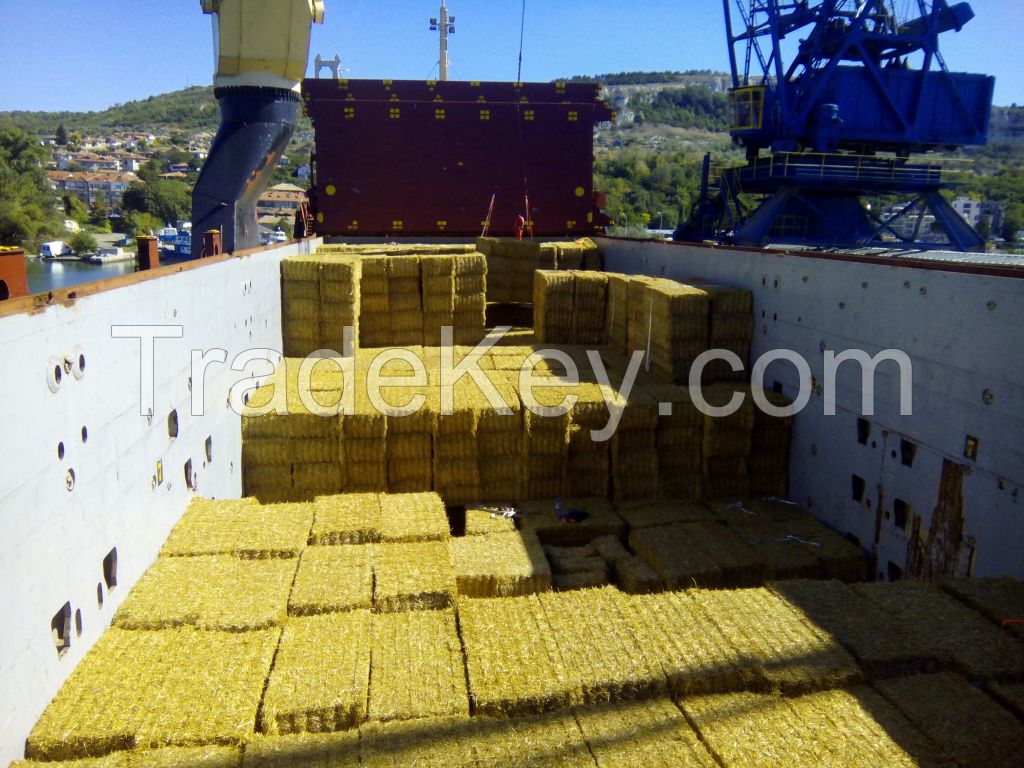 QULITY WHEAT STRAW /BALE /HAY