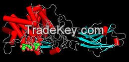 Cellulase