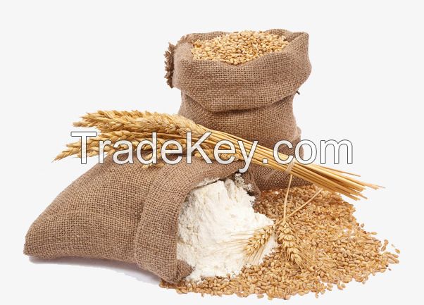 High Quality Ukrainian Wheat Flour